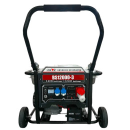 Бензиновый генератор Bison BS12000-3