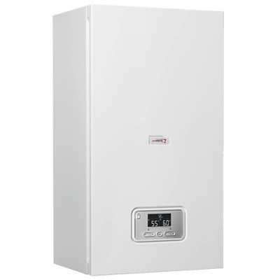 Котел електричний Protherm Ray (Скат) 9 KE /14 EU